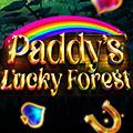 Paddy's Lucky Forest Winner